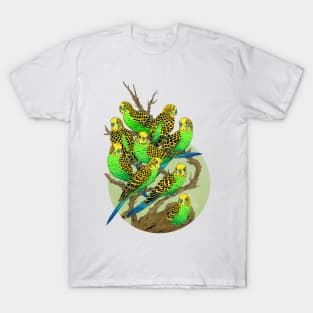 Green and Gold Budgies T-Shirt